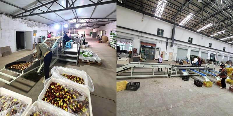 images/1696666145741date processing machine.jpg